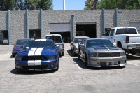 Mustangs